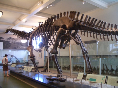 c0019617_2155427.jpg