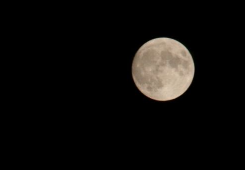 e0002817_310061.jpg