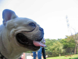 a0006321_1927847.jpg