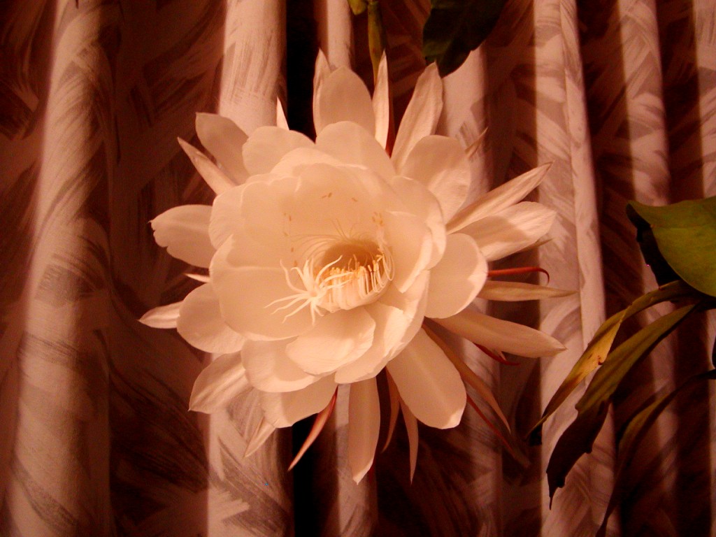 a0004023_18102834.jpg