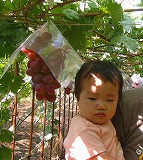 a0030823_2141412.jpg