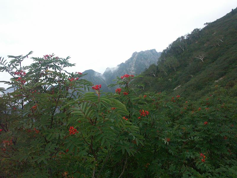b0039226_19165096.jpg