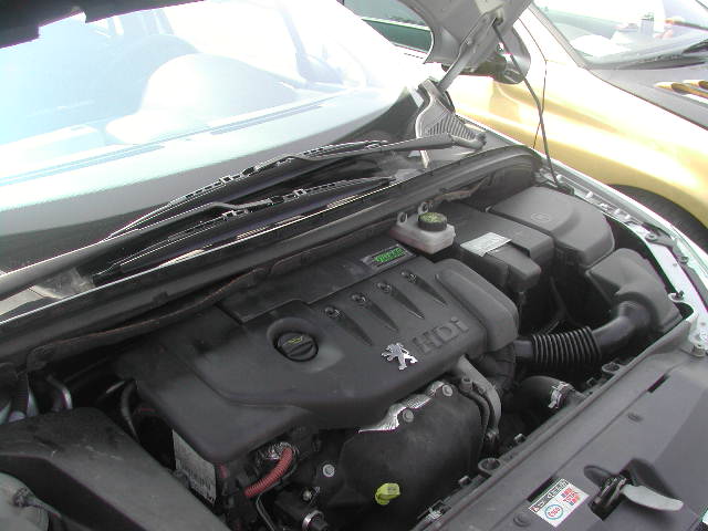 e0065830_1525647.jpg