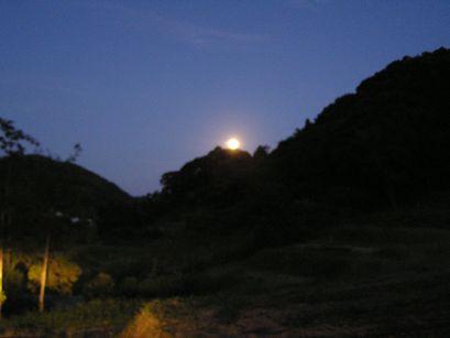 d0037232_23153960.jpg