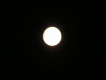 d0037232_23155944.jpg