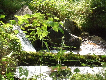c0072240_1530132.jpg