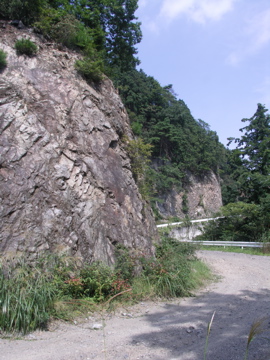 a0017848_1536592.jpg