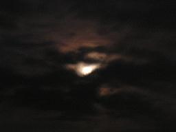 e0022948_14134731.jpg