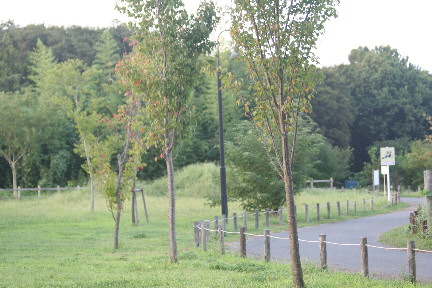 d0013149_042485.jpg