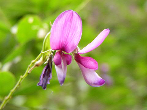 e0017051_2224179.jpg