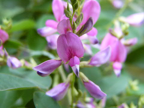 e0017051_2225085.jpg
