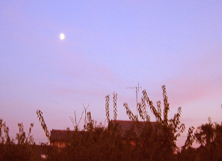 e0060452_7112282.jpg