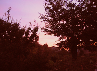e0060452_711331.jpg