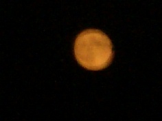 d0020159_1305038.jpg