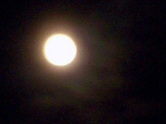 d0020159_1342561.jpg