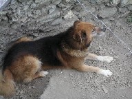 c0032863_14272323.jpg