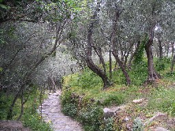 c0032863_14345310.jpg
