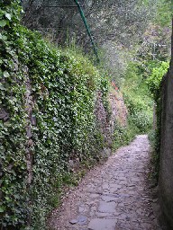 c0032863_1437333.jpg
