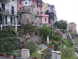 c0032863_1439453.jpg