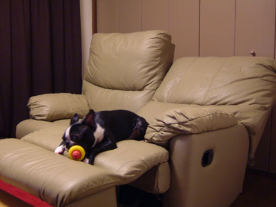 c0032567_21303686.jpg
