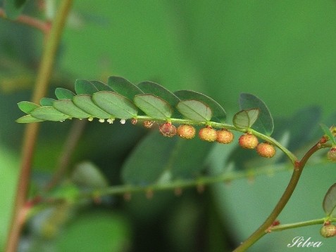 c0039974_022618.jpg