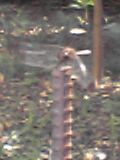 d0011184_01492.jpg