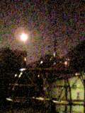d0011184_015829.jpg