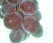 d0015489_23154972.jpg