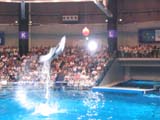 b0004492_1240869.jpg