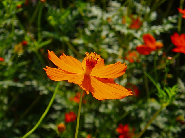 e0029692_2357028.jpg