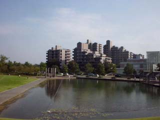 d0004301_22474886.jpg