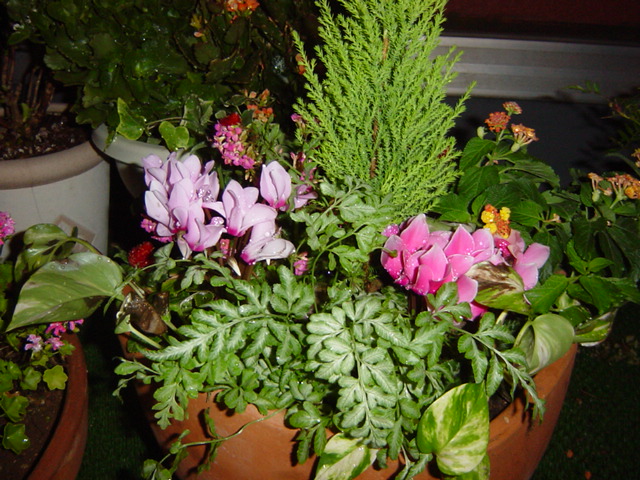 e0028401_065660.jpg