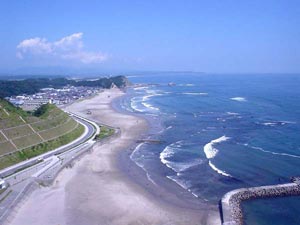 e0005602_224718.jpg