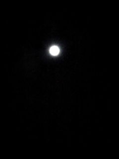 a0024005_0163113.jpg