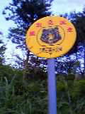 a0020929_23435269.jpg