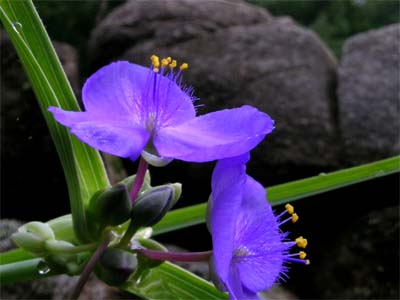 d0029829_5404253.jpg