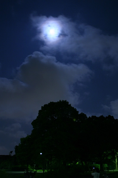 b0063234_7281034.jpg