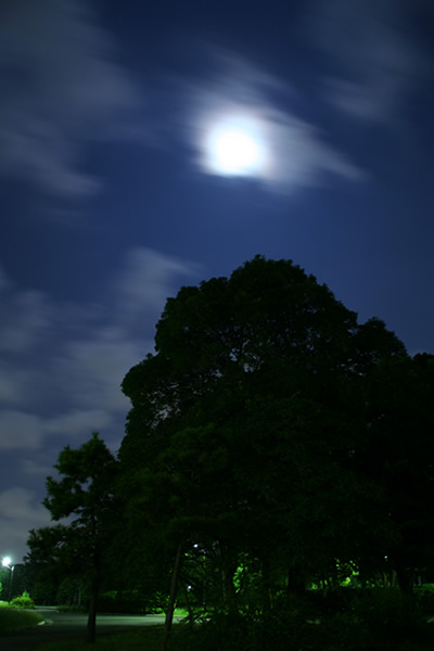 b0063234_729677.jpg