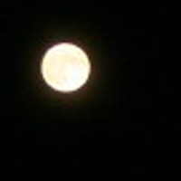 d0033734_11385711.jpg
