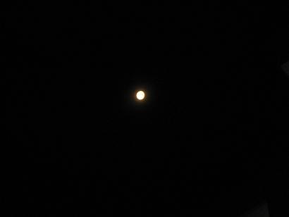 b0045236_039447.jpg