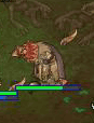 e0072542_14582643.gif
