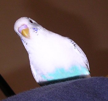 c0054148_10103460.jpg