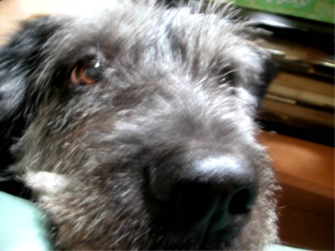 d0006253_17231515.jpg