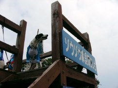 c0072379_21385266.jpg
