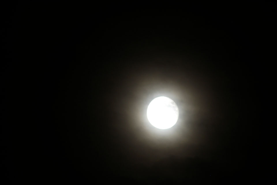 d0034980_1424190.jpg