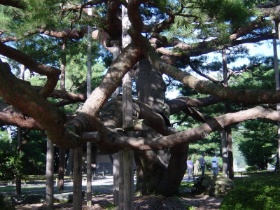 c0002089_0362328.jpg