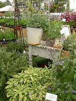 e0073593_2225359.jpg
