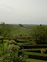 e0073593_27492.jpg