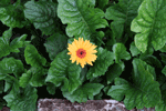 b0012811_215935100.gif