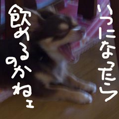 c0036617_728553.jpg